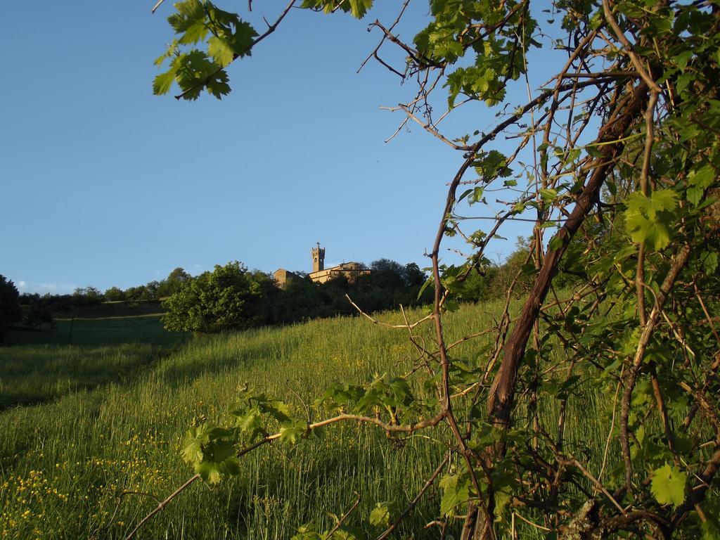 Vila La Ciastra Ed San Michel Terenzo Exteriér fotografie